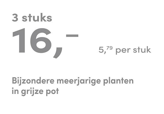 prijskaart 2025 Nederlands - grijze pot 5,79 per stuk - 3 stuks 16,-