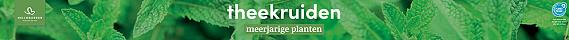 tafelbanner 2025 Nederlands - theekruiden