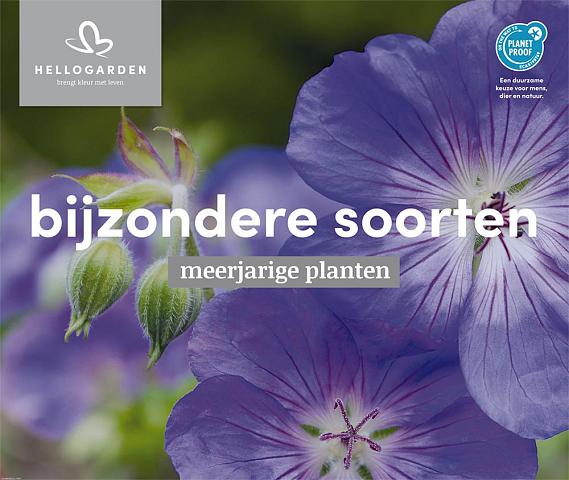 displaybord 2025 Nederlands - bijzondere soorten