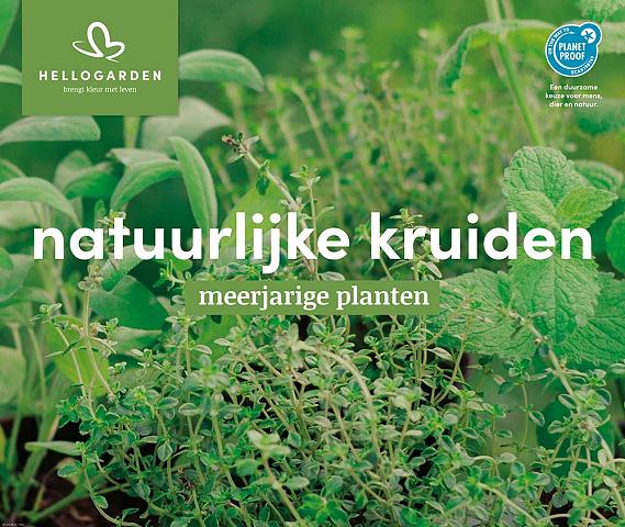 displaybord 2025 Nederlands - natuurlijke kruiden