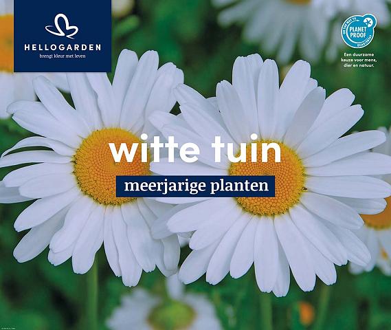 displaybord 2025 Nederlands - witte tuin