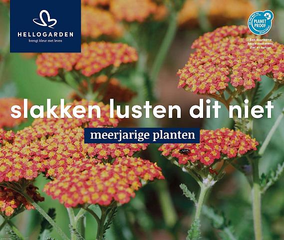 displaybord 2025 Nederlands - slakken lusten dit niet