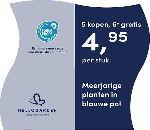 prijsmolen 2025 Nederlands - blauwe pot 4,95 per stuk - 5 kopen, 6e gratis