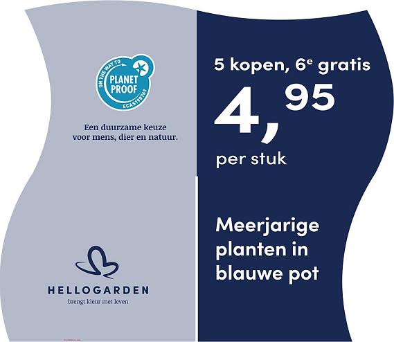 prijsmolen 2025 Nederlands - blauwe pot 4,95 per stuk - 5 kopen, 6e gratis