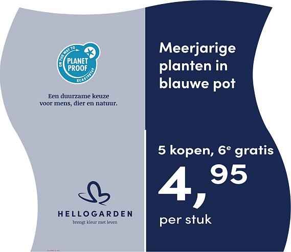prijsmolen 2025 Nederlands - blauwe pot 4,95 per stuk - 5 kopen, 6e gratis