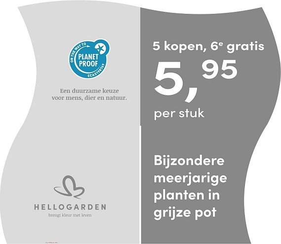 prijsmolen 2025 Nederlands - grijze pot 5,95 per stuk - 5 kopen, 6e gratis