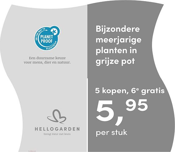 prijsmolen 2025 Nederlands - grijze pot 5,95 per stuk - 5 kopen, 6e gratis