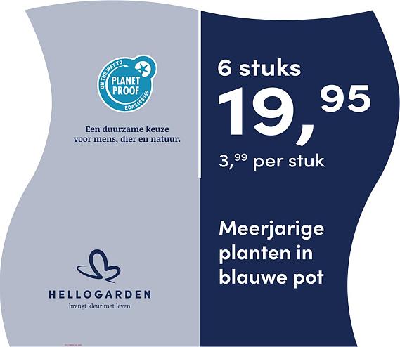 prijsmolen 2025 Nederlands - blauwe pot 3,99 per stuk - 6 stuks 19,95