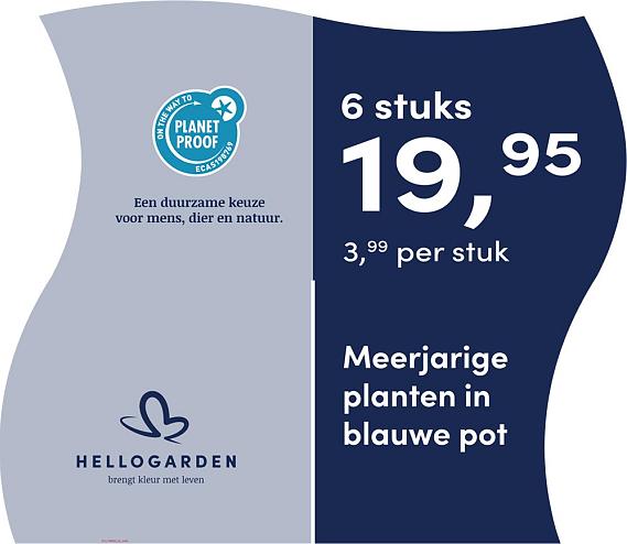 prijsmolen 2025 Nederlands - blauwe pot 3,99 per stuk - 6 stuks 19,95