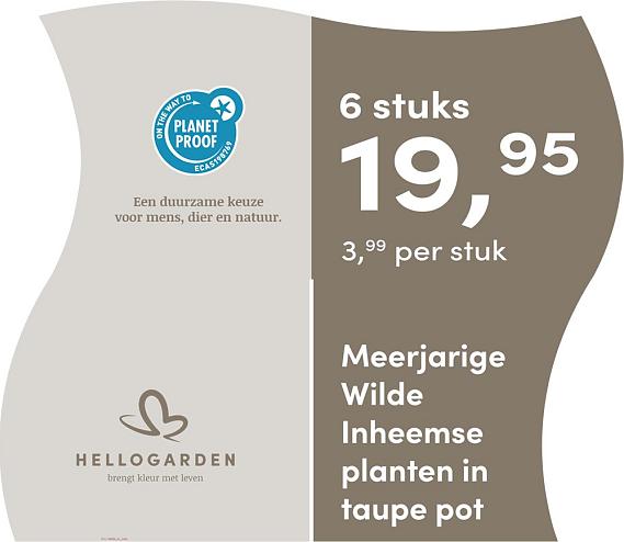 prijsmolen 2025 Nederlands - taupe pot 3,99 per stuk - 6 stuks 19,95