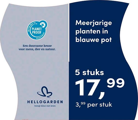prijsmolen 2025 Nederlands - blauwe pot 3,99 per stuk - 5 stuks 17,99