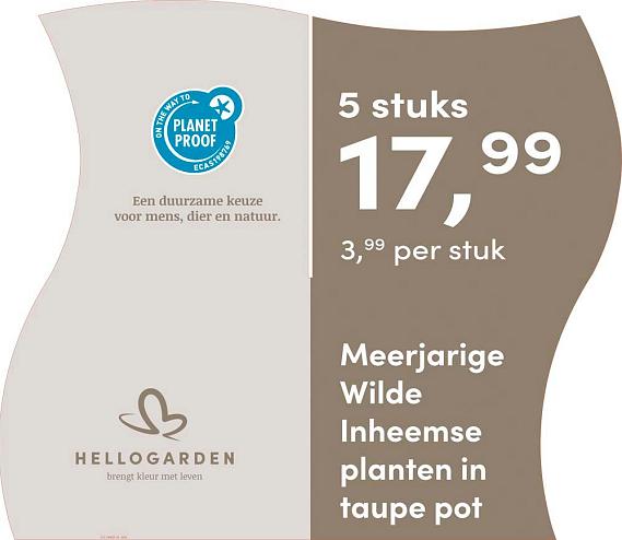 prijsmolen 2025 Nederlands - taupe pot 3,99 per stuk - 5 stuks 17,99