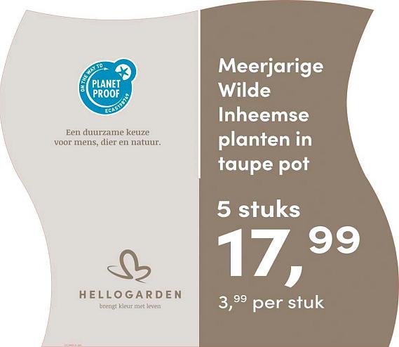 prijsmolen 2025 Nederlands - taupe pot 3,99 per stuk - 5 stuks 17,99