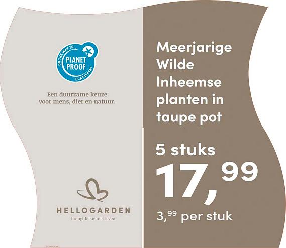 prijsmolen 2025 Nederlands - taupe pot 3,99 per stuk - 5 stuks 17,99