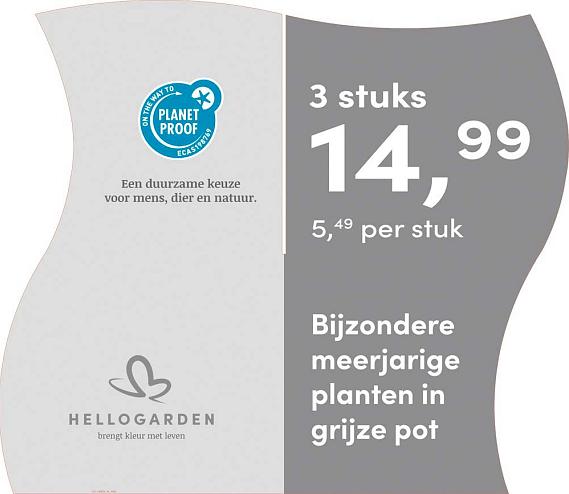 prijsmolen 2025 Nederlands - grijze pot 5,49 per stuk - 3 stuks 14,99