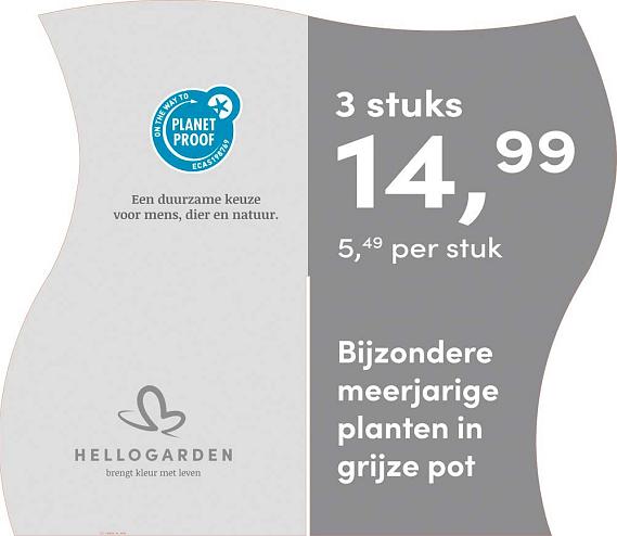prijsmolen 2025 Nederlands - grijze pot 5,49 per stuk - 3 stuks 14,99