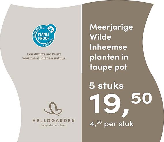 prijsmolen 2025 Nederlands - taupe pot 4,50 per stuk - 5 stuks 19,50