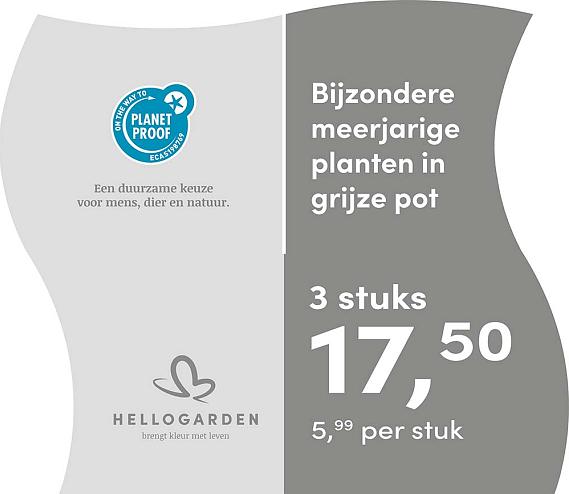 prijsmolen 2025 Nederlands - grijze pot 5,99 per stuk - 3 stuks 17,50