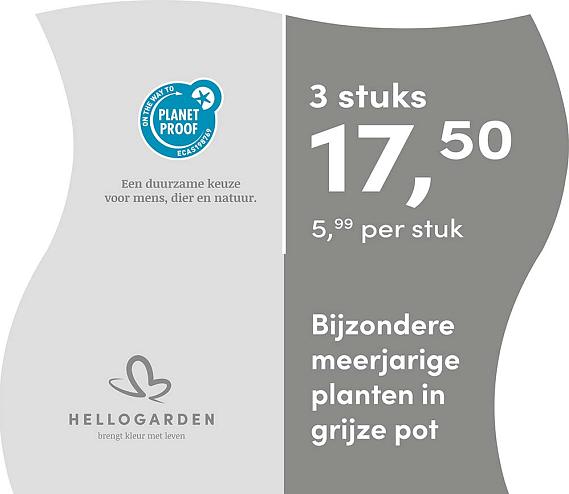 prijsmolen 2025 Nederlands - grijze pot 5,99 per stuk - 3 stuks 17,50