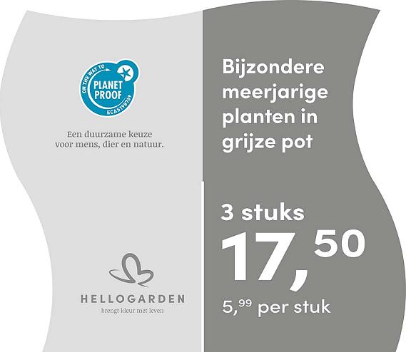 prijsmolen 2025 Nederlands - grijze pot 5,99 per stuk - 3 stuks 17,50