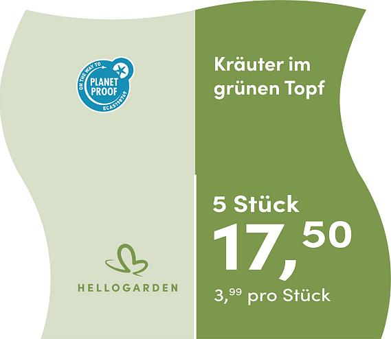 prijsmolen 2025 Duits - grünen Topf 3,99 pro Stück - 5 Stück 17,50