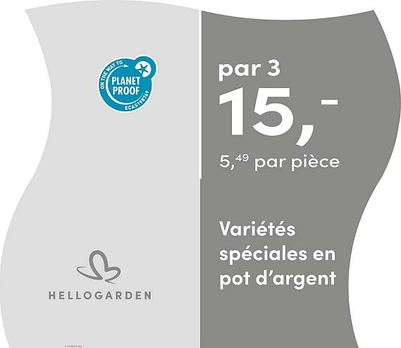prijsmolen 2025 Frans - pot d'argent 5,49 par pièce - par 3 € 15,-