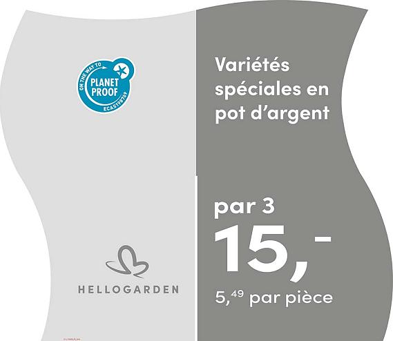prijsmolen 2025 Frans - pot d'argent 5,49 par pièce - par 3 € 15,-