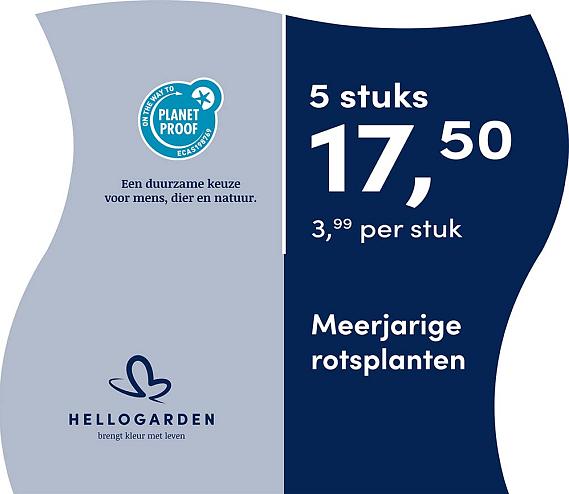 prijsmolen 2025 Nederlands - blauwe pot 3,99 per stuk - 5 stuks 17,50