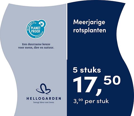 prijsmolen 2025 Nederlands - blauwe pot 3,99 per stuk - 5 stuks 17,50