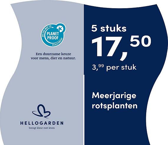 prijsmolen 2025 Nederlands - blauwe pot 3,99 per stuk - 5 stuks 17,50