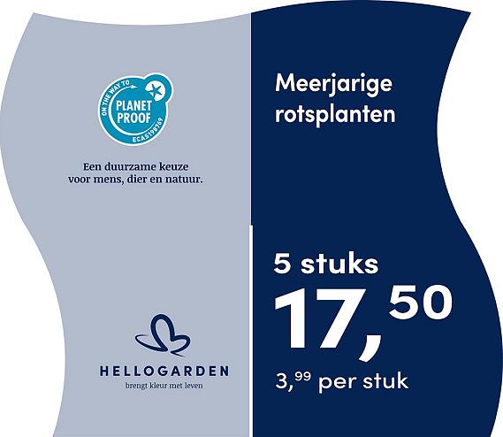 prijsmolen 2025 Nederlands - blauwe pot 3,99 per stuk - 5 stuks 17,50