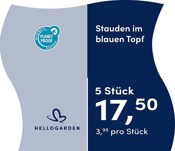 prijsmolen 2025 Duits - blauen Topf 3,99 pro Stück - 5 Stück 17,50