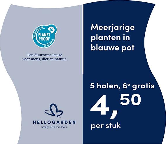 prijsmolen 2025 Nederlands - blauwe pot 4,50 per stuk - 5 halen, 6e gratis