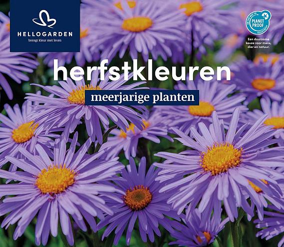 displaybord 2025 Nederlands - herfstkleuren