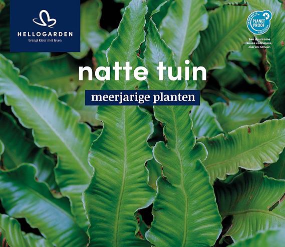 displaybord 2025 Nederlands - natte tuin