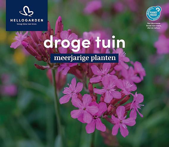 displaybord 2025 Nederlands - droge tuin