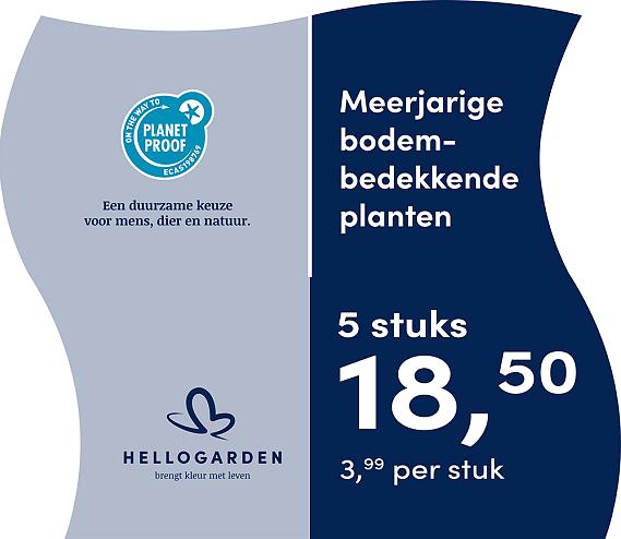 prijsmolen 2025 Nederlands - blauwe pot 3,99 per stuk - 5 stuks 18,50
