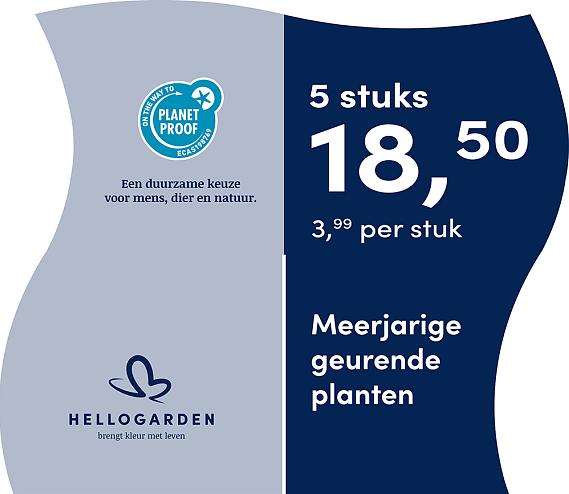 prijsmolen 2025 Nederlands - blauwe pot 3,99 per stuk - 5 stuks 18,50