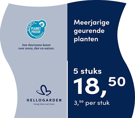 prijsmolen 2025 Nederlands - blauwe pot 3,99 per stuk - 5 stuks 18,50