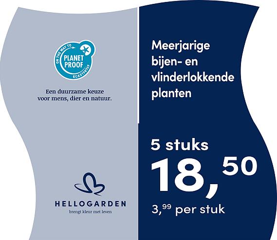 prijsmolen 2025 Nederlands - blauwe pot 3,99 per stuk - 5 stuks 18,50