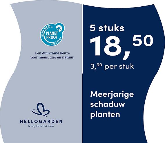 prijsmolen 2025 Nederlands - blauwe pot 3,99 per stuk - 5 stuks 18,50