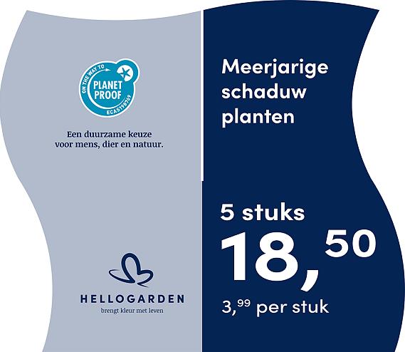 prijsmolen 2025 Nederlands - blauwe pot 3,99 per stuk - 5 stuks 18,50