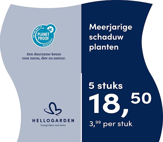 prijsmolen 2025 Nederlands - blauwe pot 3,99 per stuk - 5 stuks 18,50