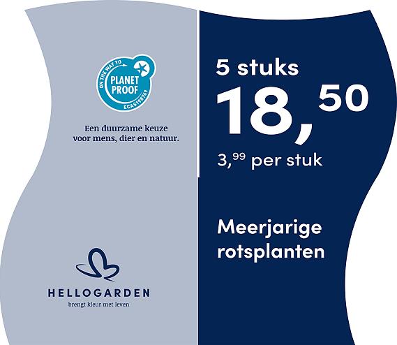 prijsmolen 2025 Nederlands - blauwe pot 3,99 per stuk - 5 stuks 18,50