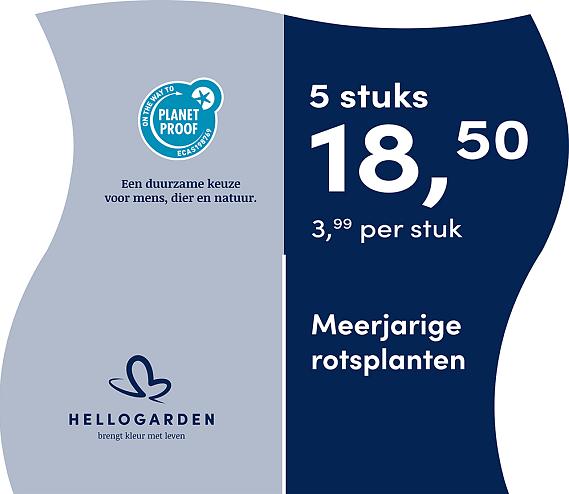 prijsmolen 2025 Nederlands - blauwe pot 3,99 per stuk - 5 stuks 18,50