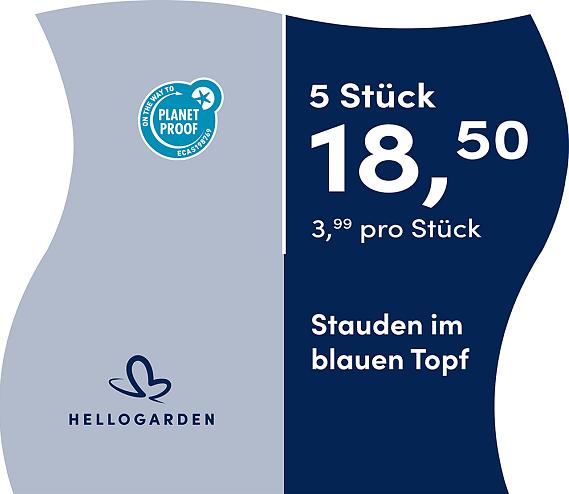 prijsmolen 2025 Duits - blauen Topf 3,99 pro Stück - 5 Stück 18,50
