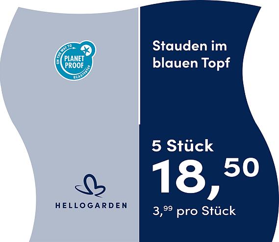 prijsmolen 2025 Duits - blauen Topf 3,99 pro Stück - 5 Stück 18,50