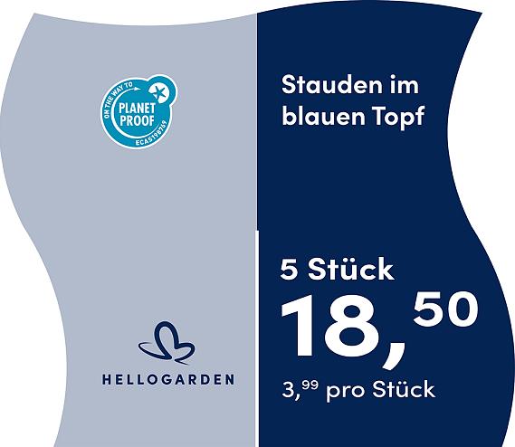 prijsmolen 2025 Duits - blauen Topf 3,99 pro Stück - 5 Stück 18,50