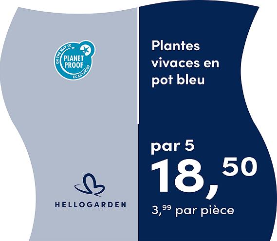 prijsmolen 2025 Frans - pot bleu 3,99 par pièce - par 5 18,50