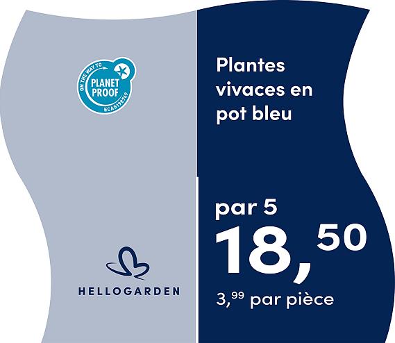 prijsmolen 2025 Frans - pot bleu 3,99 par pièce - par 5 18,50